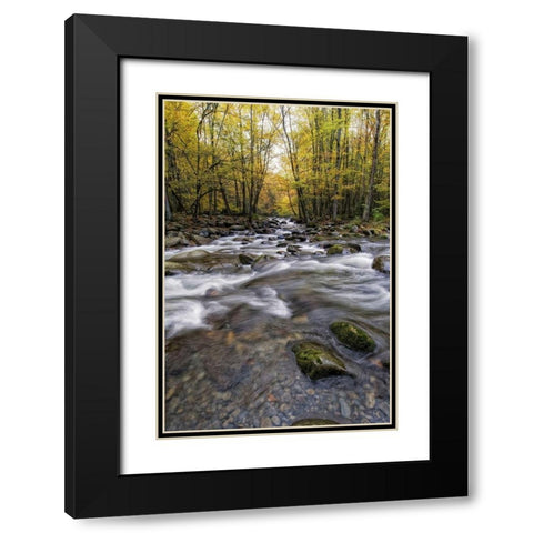Roaring Waters II Black Modern Wood Framed Art Print with Double Matting by Head, Danny
