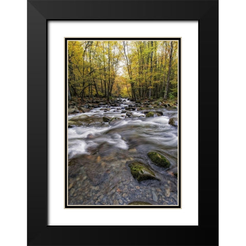 Roaring Waters II Black Modern Wood Framed Art Print with Double Matting by Head, Danny