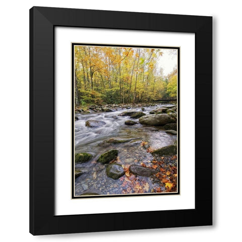 Roaring Waters III Black Modern Wood Framed Art Print with Double Matting by Head, Danny