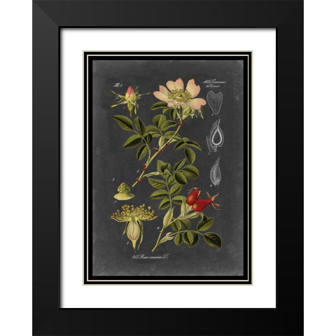 Midnight Botanical I Black Modern Wood Framed Art Print with Double Matting by Vision Studio