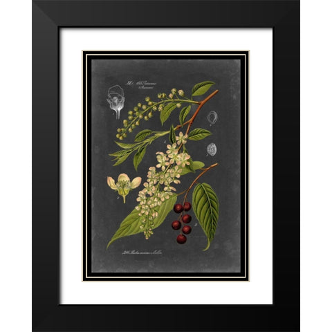 Midnight Botanical II Black Modern Wood Framed Art Print with Double Matting by Vision Studio