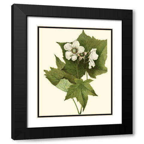 Delicate Foliage I Black Modern Wood Framed Art Print with Double Matting by Unknown