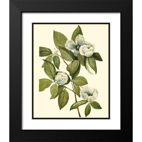 Delicate Foliage II Black Modern Wood Framed Art Print with Double Matting by Unknown