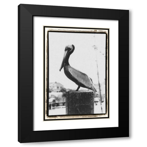 Pelican Perch Black Modern Wood Framed Art Print with Double Matting by DeNardo, Laura