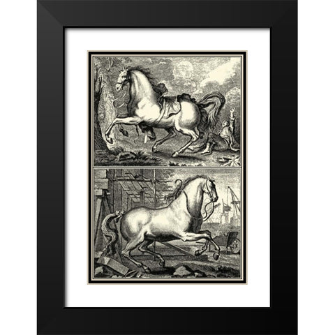 Galloping Horses I Black Modern Wood Framed Art Print with Double Matting by unknown