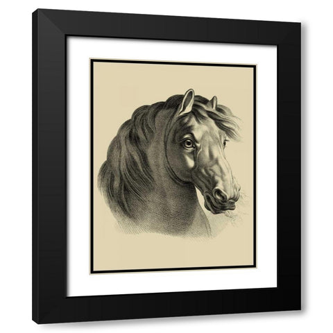 Equestrian Portrait II Black Modern Wood Framed Art Print with Double Matting by Vision Studio