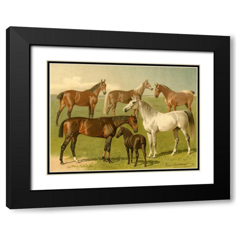 Horse Breeds I Black Modern Wood Framed Art Print with Double Matting by Volkers, Emil