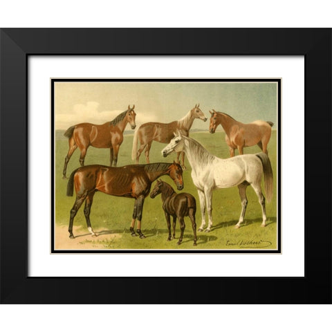 Horse Breeds I Black Modern Wood Framed Art Print with Double Matting by Volkers, Emil