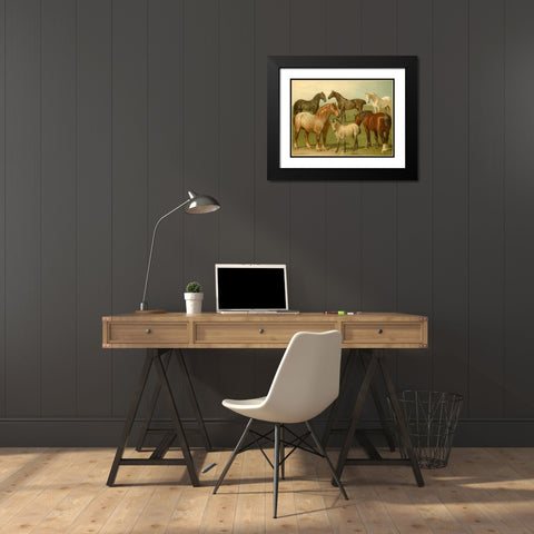 Horse Breeds II Black Modern Wood Framed Art Print with Double Matting by Volkers, Emil