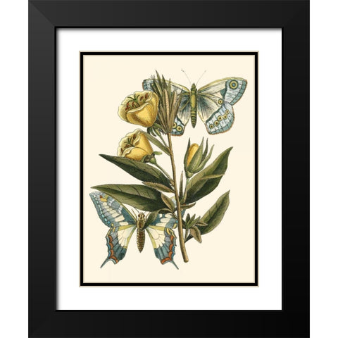 Butterfly Oasis II Black Modern Wood Framed Art Print with Double Matting by Vision Studio