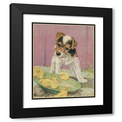 Terrier Trouble II Black Modern Wood Framed Art Print with Double Matting by Unknown