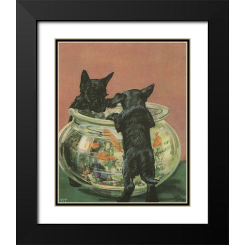 Terrier Trouble VI Black Modern Wood Framed Art Print with Double Matting by Unknown