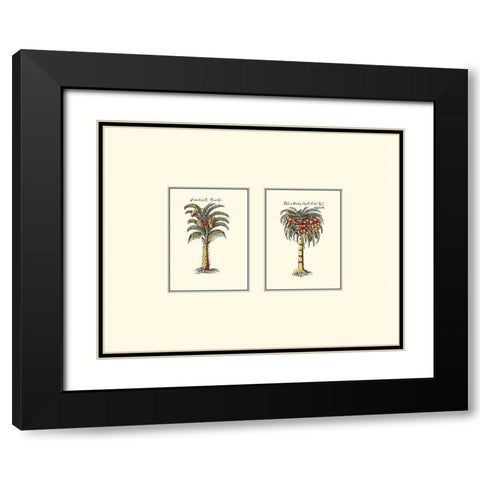 Miniature Palm II Black Modern Wood Framed Art Print with Double Matting by Vision Studio