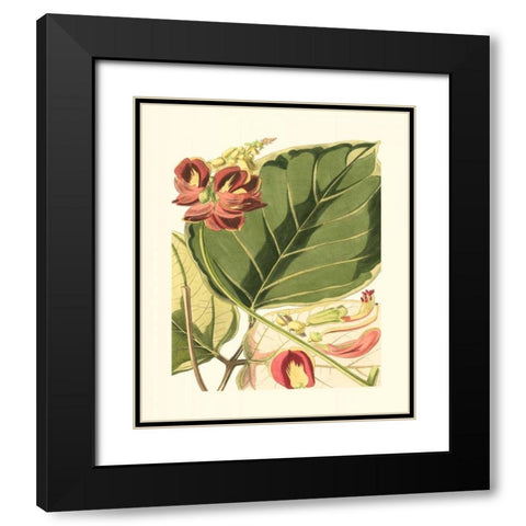 Fantastical Botanical I Black Modern Wood Framed Art Print with Double Matting by Vision Studio