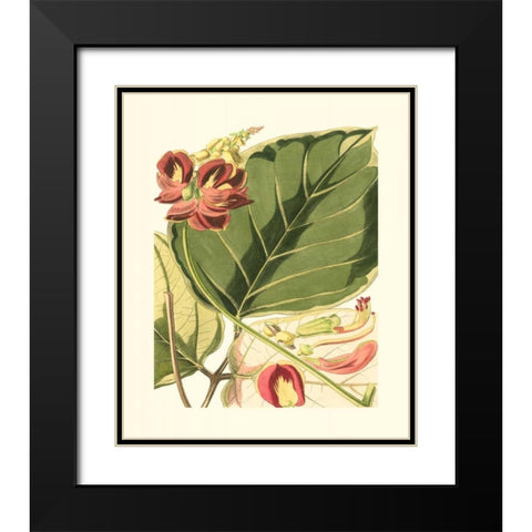 Fantastical Botanical I Black Modern Wood Framed Art Print with Double Matting by Vision Studio