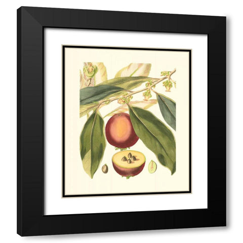 Fantastical Botanical III Black Modern Wood Framed Art Print with Double Matting by Vision Studio