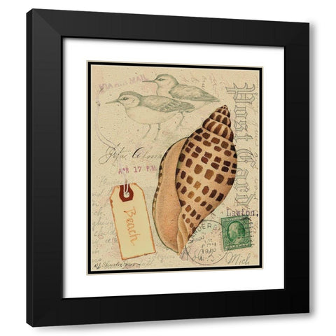 Postcard Shells I Black Modern Wood Framed Art Print with Double Matting by Pallan, Nancy S.