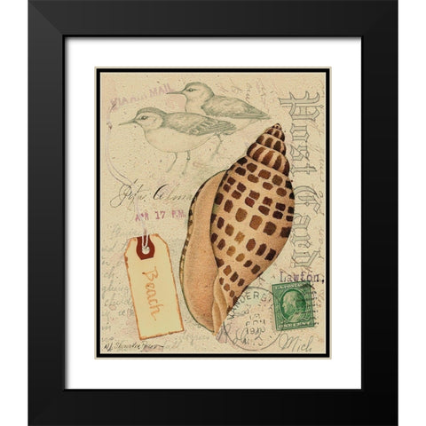 Postcard Shells I Black Modern Wood Framed Art Print with Double Matting by Pallan, Nancy S.
