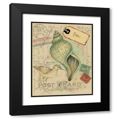 Postcard Shells II Black Modern Wood Framed Art Print with Double Matting by Pallan, Nancy S.