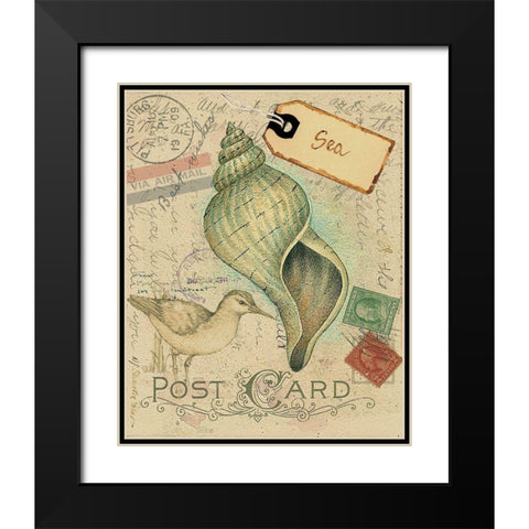 Postcard Shells II Black Modern Wood Framed Art Print with Double Matting by Pallan, Nancy S.