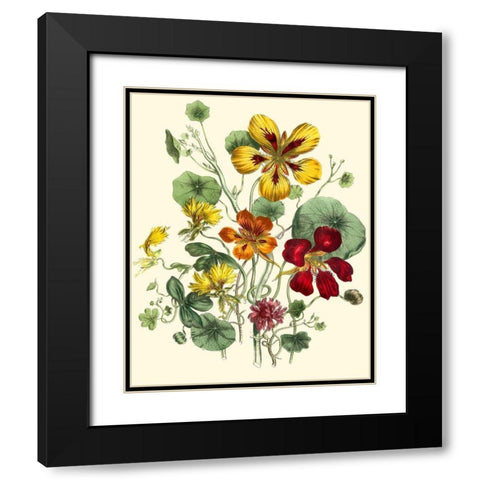 Summer Flowers I Black Modern Wood Framed Art Print with Double Matting by Unknown