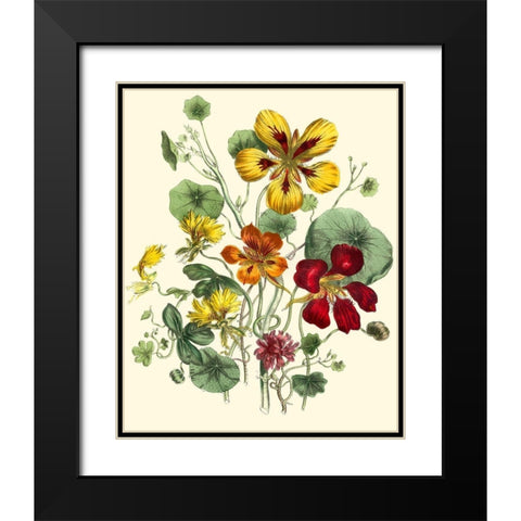 Summer Flowers I Black Modern Wood Framed Art Print with Double Matting by Unknown