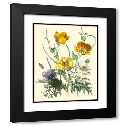 Summer Flowers II Black Modern Wood Framed Art Print with Double Matting by Unknown