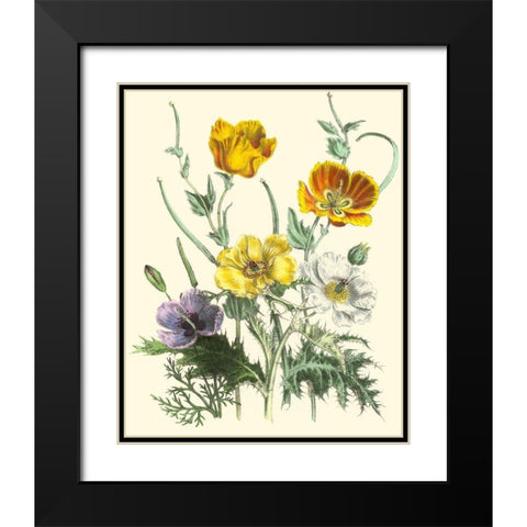 Summer Flowers II Black Modern Wood Framed Art Print with Double Matting by Unknown