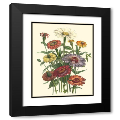 Summer Flowers III Black Modern Wood Framed Art Print with Double Matting by Unknown