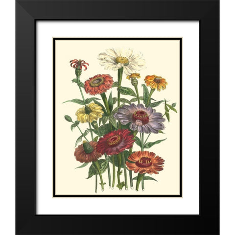 Summer Flowers III Black Modern Wood Framed Art Print with Double Matting by Unknown