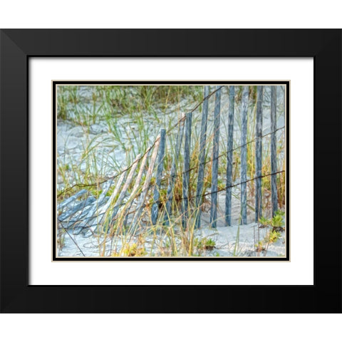 Sea Oats II Black Modern Wood Framed Art Print with Double Matting by Head, Danny