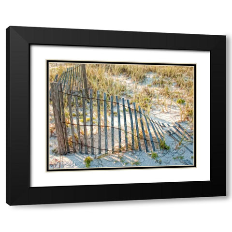 Sea Oats III Black Modern Wood Framed Art Print with Double Matting by Head, Danny
