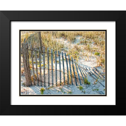 Sea Oats III Black Modern Wood Framed Art Print with Double Matting by Head, Danny