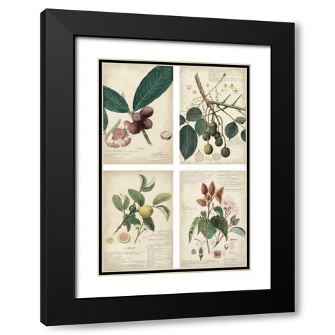 Mini Descubes Black Modern Wood Framed Art Print with Double Matting by Descubes, A.