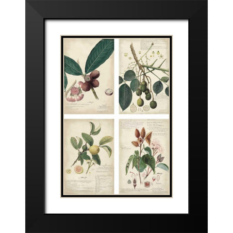 Mini Descubes Black Modern Wood Framed Art Print with Double Matting by Descubes, A.
