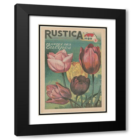 Plantez Des Tulips Black Modern Wood Framed Art Print with Double Matting by Unknown