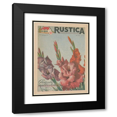 Plantez Des Glaieuls Black Modern Wood Framed Art Print with Double Matting by Unknown