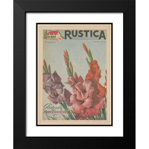 Plantez Des Glaieuls Black Modern Wood Framed Art Print with Double Matting by Unknown