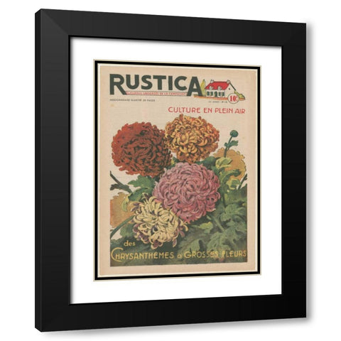 Plantez Des Chrysanthemes Black Modern Wood Framed Art Print with Double Matting by Unknown