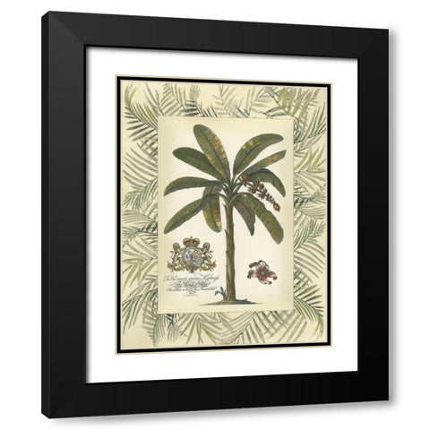 Palm in Bamboo Frame II Black Modern Wood Framed Art Print with Double Matting by Vision Studio