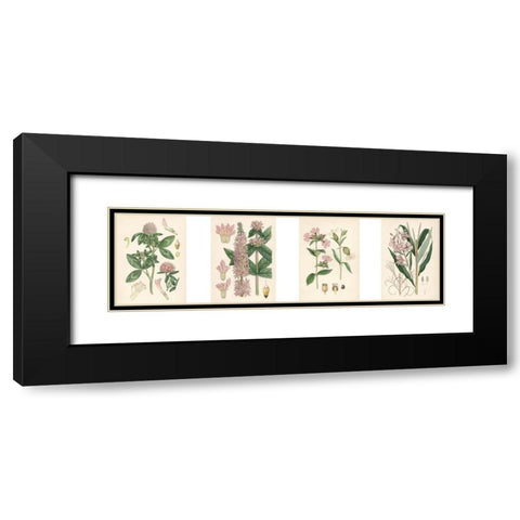 Pink Botanicals Black Modern Wood Framed Art Print with Double Matting by Unknown