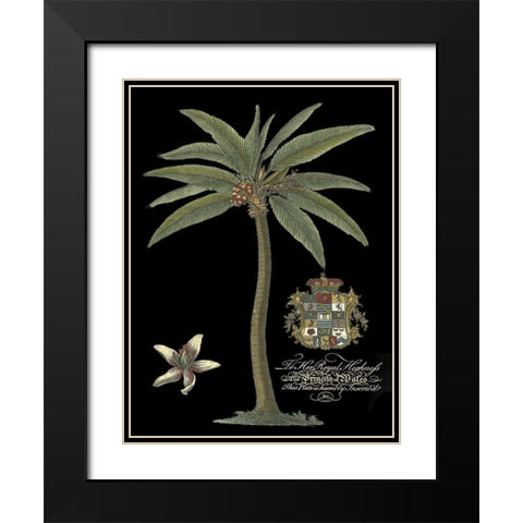Palm on Black I Black Modern Wood Framed Art Print with Double Matting by Unknown