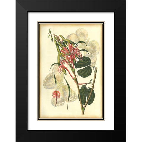 Floral Fantasia I Black Modern Wood Framed Art Print with Double Matting by Unknown