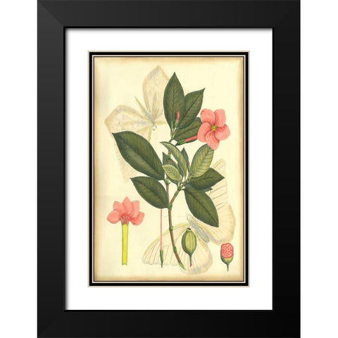 Floral Fantasia II Black Modern Wood Framed Art Print with Double Matting by Unknown