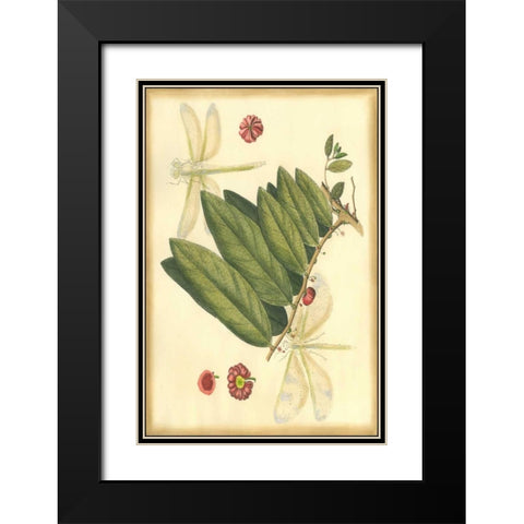 Floral Fantasia V Black Modern Wood Framed Art Print with Double Matting by Unknown