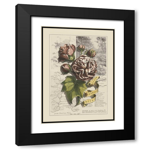 Garden in June I Black Modern Wood Framed Art Print with Double Matting by Bookman, D.