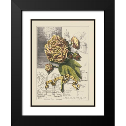 Garden in June II Black Modern Wood Framed Art Print with Double Matting by Bookman, D.