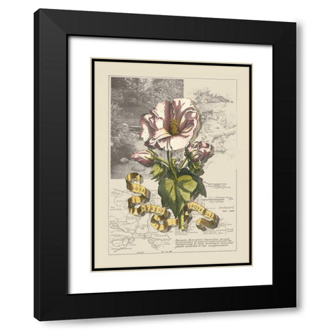 Garden in June III Black Modern Wood Framed Art Print with Double Matting by Bookman, D.