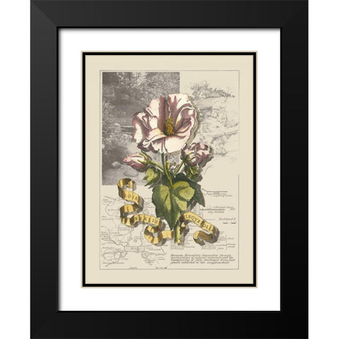 Garden in June III Black Modern Wood Framed Art Print with Double Matting by Bookman, D.