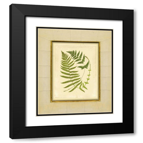 Fern with Crackle Mat III Black Modern Wood Framed Art Print with Double Matting by Unknown